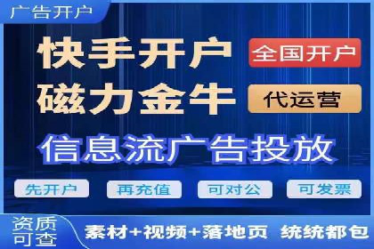 案例研究：竞价广告助力电商行业增长